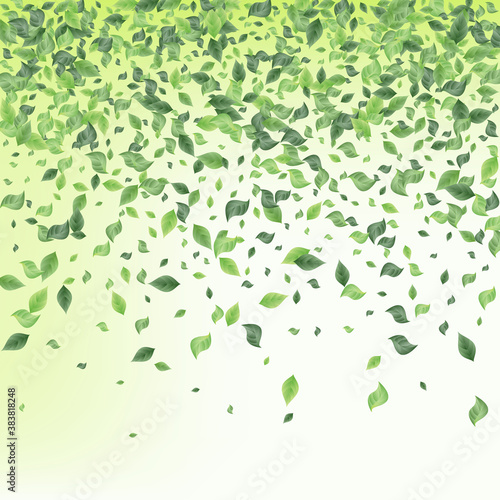 Green Leaf Ecology Green Background Wallpaper. 