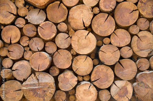 Logs used for wall decoration close