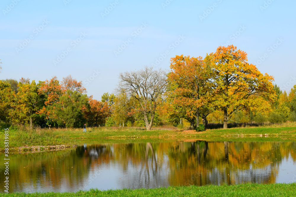 autumn landscape with trees