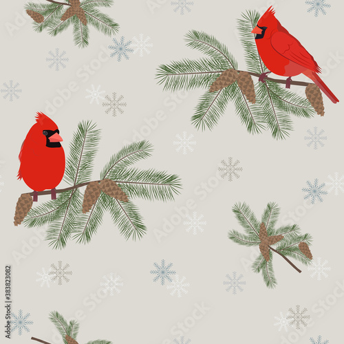 Fényképezés Seamless vector illustration with birds Cardinal and fir branches