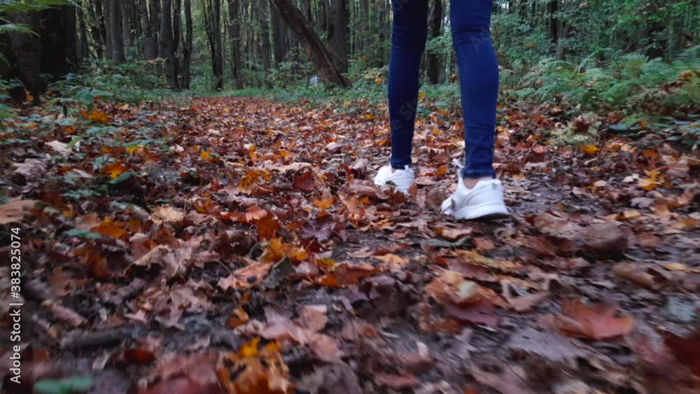 low viewing angle: an unrecognizable female tourist walks along an empty forest path on a Sunny autumn day. Unrecognizable fit, lean woman going for a relaxing walk in the woods. low viewing angle: an unrecognizable female tourist walks along an empty forest path on a Sunny autumn day. Unrecognizable fit, lean woman going for a relaxing walk in the woods.