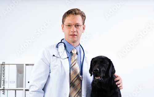 portrait of a veterinarian photo