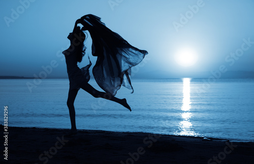 Obraz na plátně Dancing under the moonlight