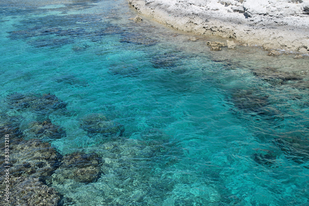 coral reef and sea coral reef and sea