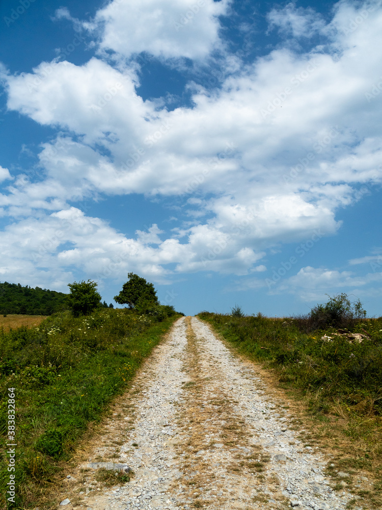 nice dirt road with seeing you around and trees in the background. the sky is blue with white clouds