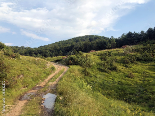 Hiking trails, forest paths and bicycle roads in the Ucka Nature Park, Croatia / Planinarske staze, šumski putevi i biciklističke ceste u parku prirode Učka, Hrvatska photo