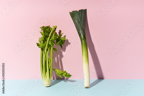 Vegetarian food ingredients on colorful background