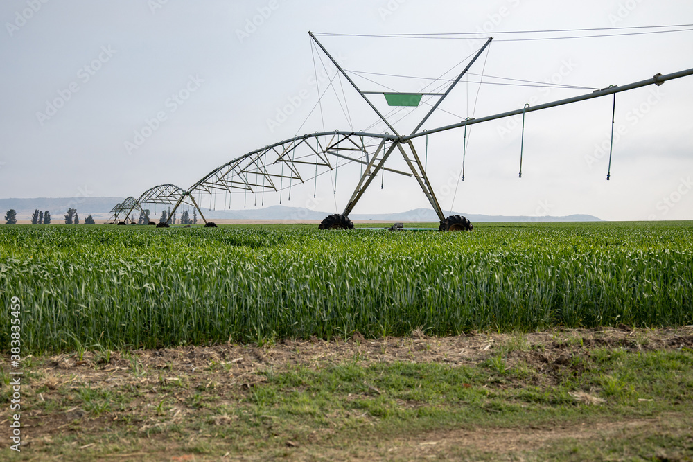 Irrigation pivot in a green field 4
