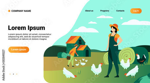 Farmers working on chicken farm isolated flat vector illustration. Cartoon woman and man breeding poultry. Agriculture and domestic birds production concept