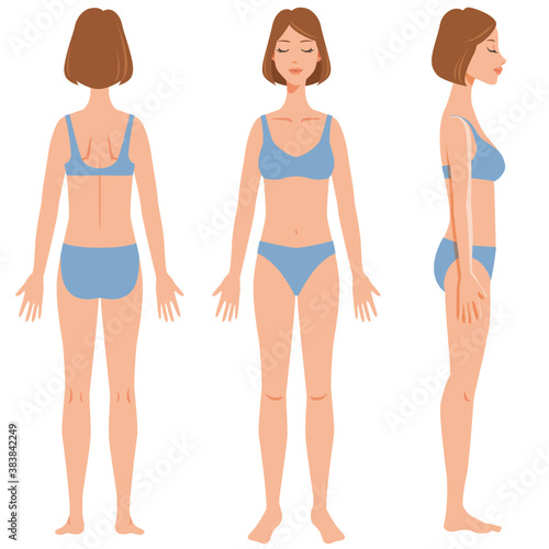 Whole body of young woman. Front, side, and back.  Vector illustration in flat cartoon style. Isolated on white background. photo