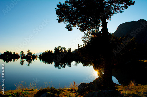 Sunset silhouette of trees and lake in natural enviornment  blue sky  reflections of landscape