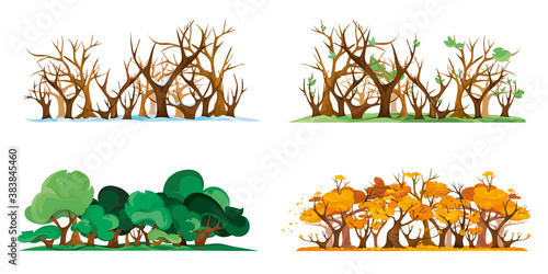 Isolated forest at different times of year. Four season in cartoon style.