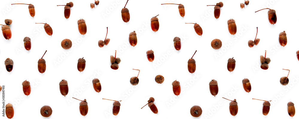 Autumn pattern made of brown dried leaves and acorns isolated on white background. Template mockup fall, halloween, harvest thanksgiving concept. Flat lay, top view, copy space banner Autumn pattern made of brown dried leaves and acorns isolated on white background. Template mockup fall, halloween, harvest thanksgiving concept. Flat lay, top view, copy space banner