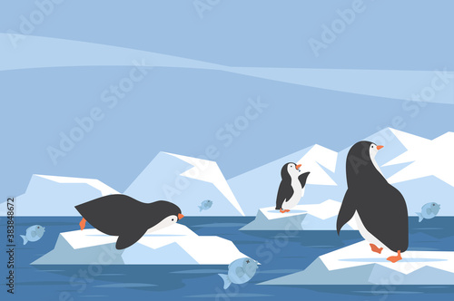 North pole Arctic penguin  iceberg with fish photo