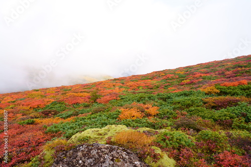 Scenery of Mt. Kurikoma in Japan with beautiful autumn colors photo