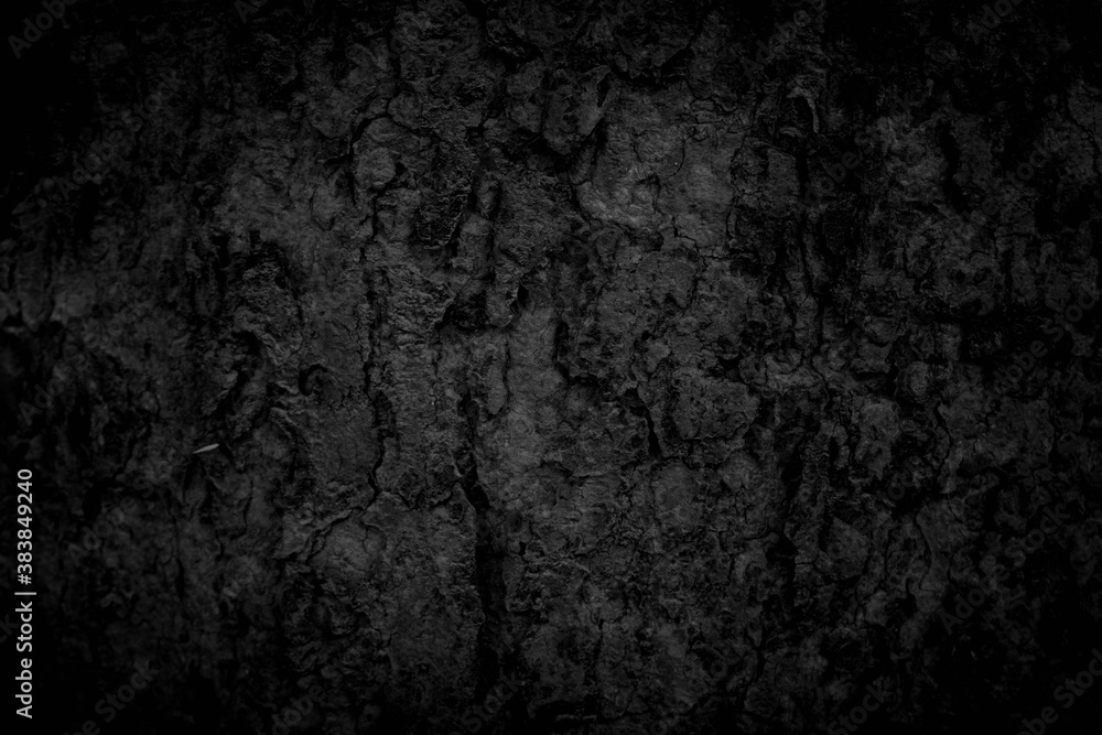 Black tree bark background Natural beautiful old tree bark texture According to the age of the tree with beautiful bark during the summer Black tree bark background Natural beautiful old tree bark texture According to the age of the tree with beautiful bark during the summer