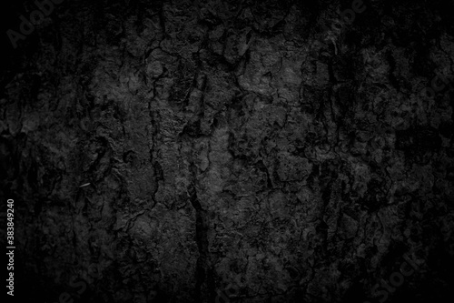 Black tree bark background Natural beautiful old tree bark texture According to the age of the tree with beautiful bark during the summer
