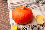 Autumn concept, little organic pumpkin and light brown plaid on wooden table. Place for text