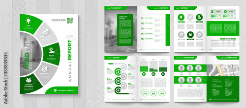 Corporate Annual Report with a cover. Brochure, Folder, Presentation, Leaflet. A4 format.