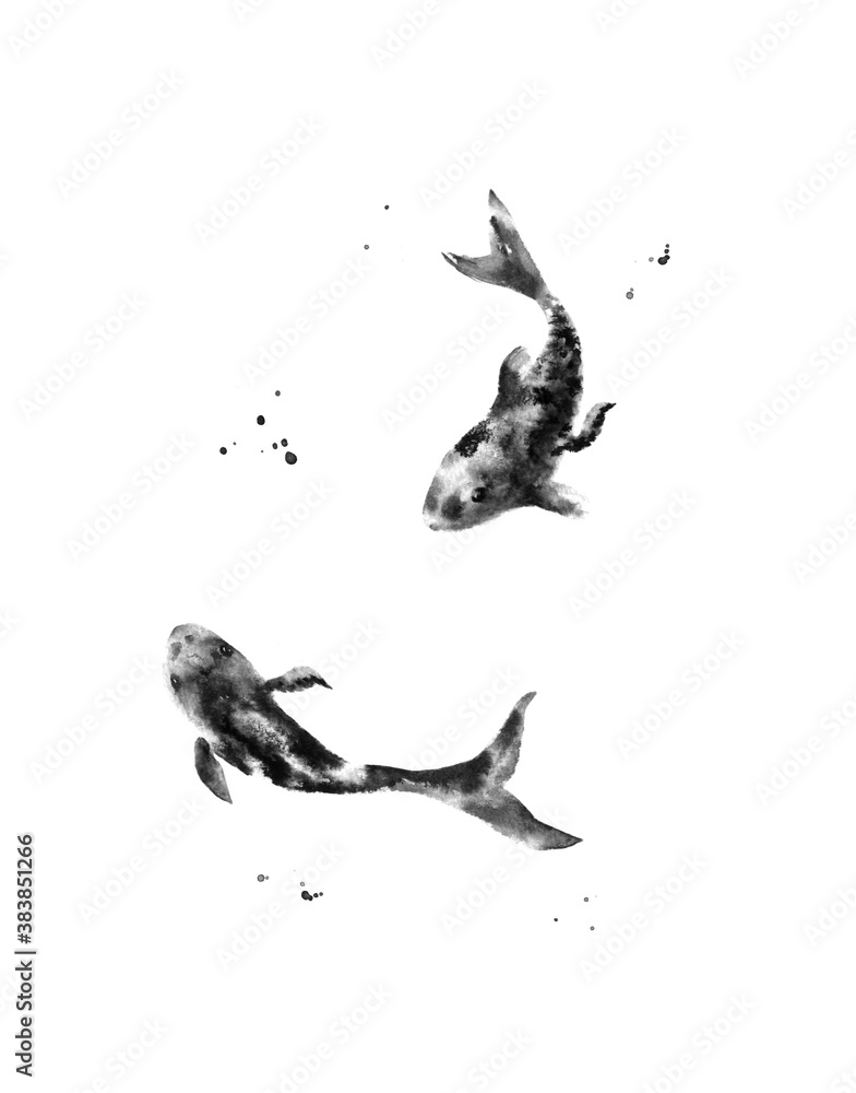 Fish koi carp ink and wash black and white hand drawn illustration.  Japanese painting style Stock Illustration