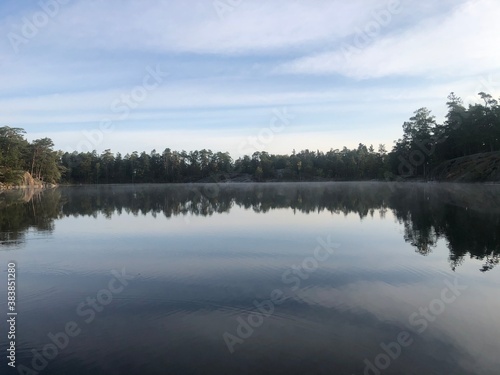 lake in the forest