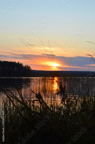 Sunset on the lake. Strong  beautiful colours  clouds and darkening evening. reflection from water and waterplants