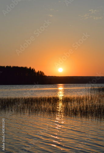 Sunset on the lake. Orange glow, wavy water and water plants.  © Heli