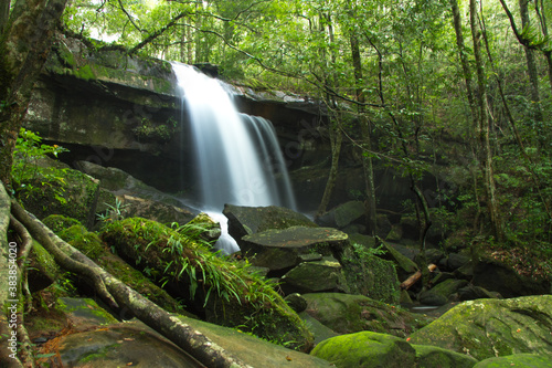 waterfall in the forest