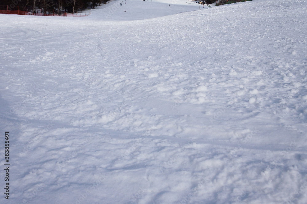 Skiing in winter