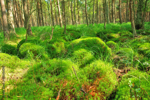 Słowiński Park Narodowy, Polska