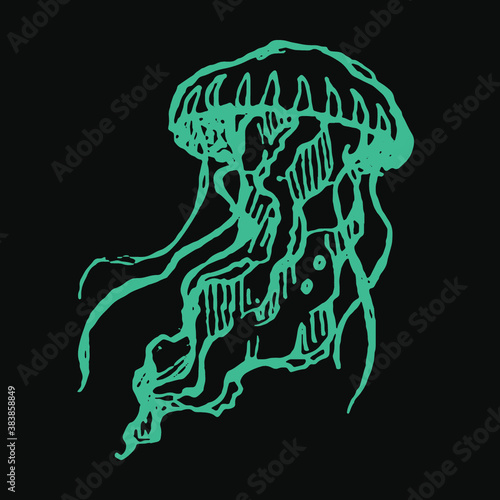 Graceful jellyfish with long antennae