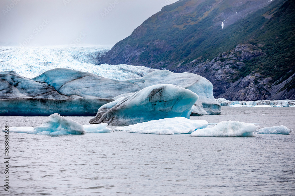 Obraz premium Spencer Glacier and icebergs of Alaska in fall tourist destination