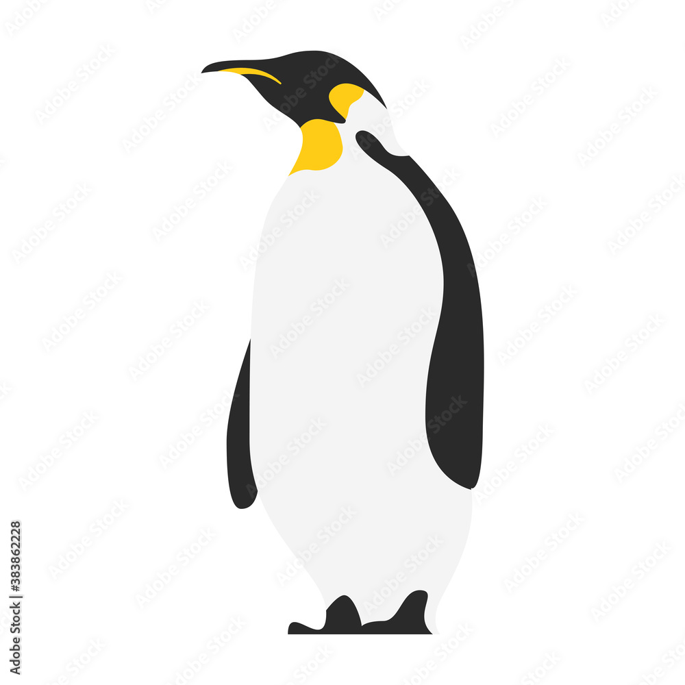 Obraz premium little cute penguin bird character