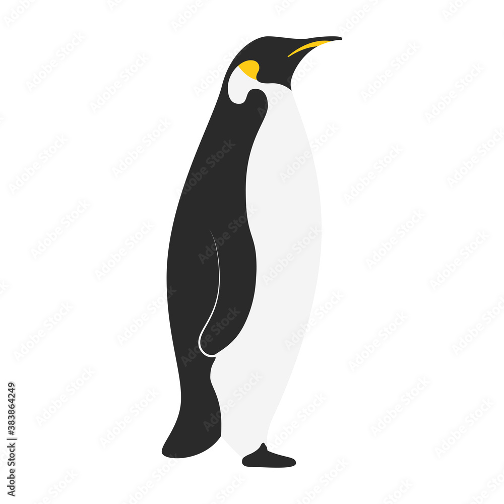 Fototapeta premium little cute penguin bird character