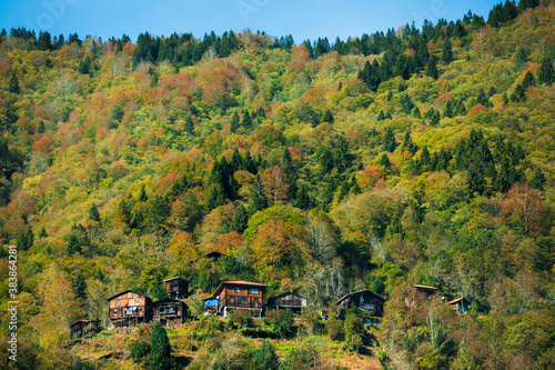 autumn in the rize mountains