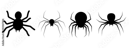 Black spiders set. Isolated spiders vector.