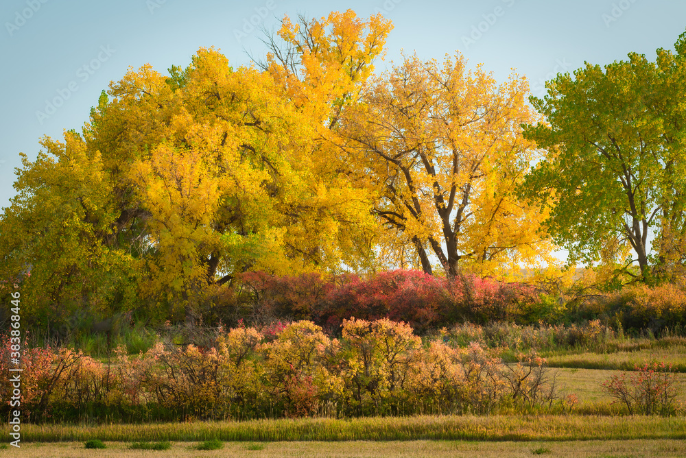Fall walk Fall walk