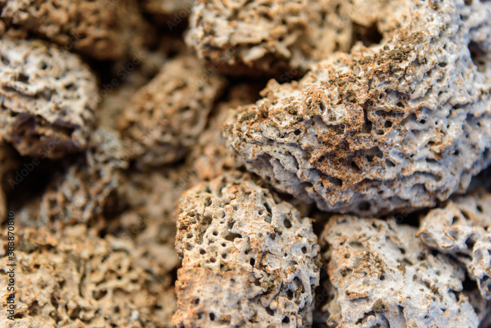 Closeup to a lot of Termite nest Closeup to a lot of Termite nest