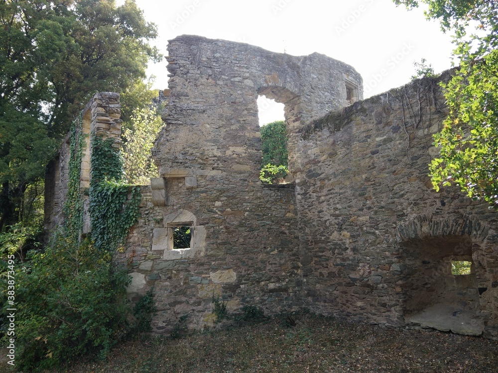 Fototapeta premium Burg