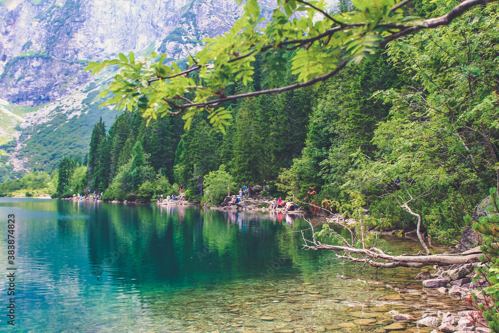 Lake in the mountains, tree. Beautiful background. Lake in the mountains, tree. Beautiful background.