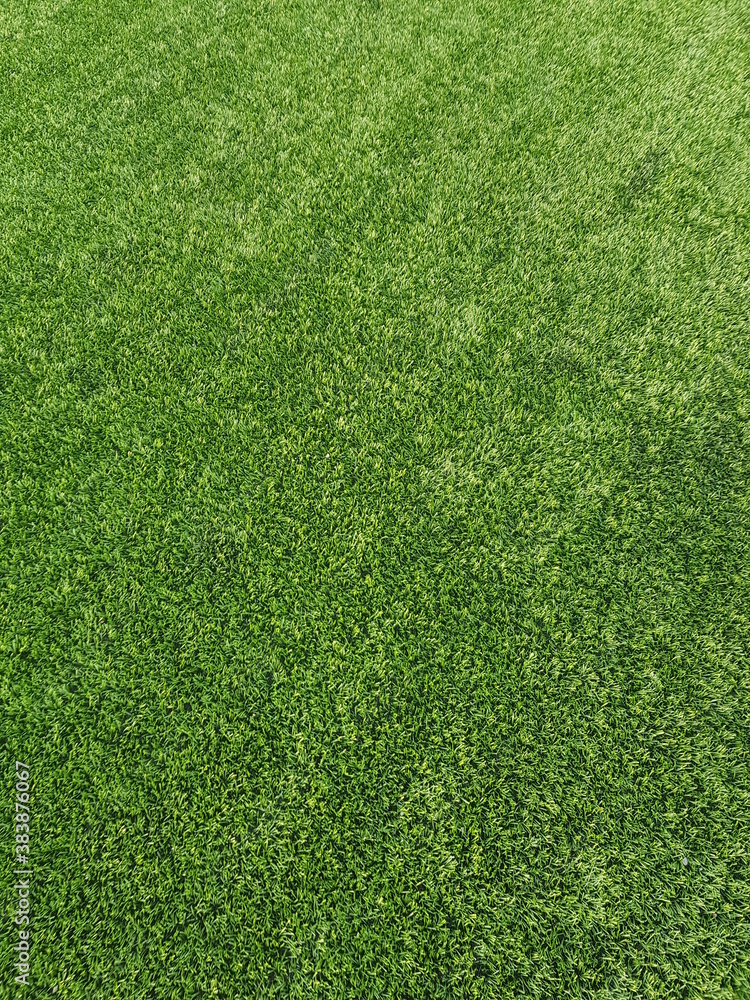 Obraz premium green grass texture