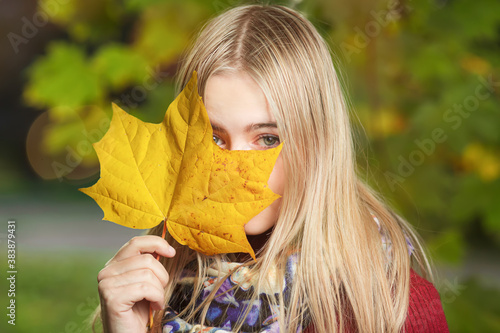 The girl holds yellow maple leaves to her face
