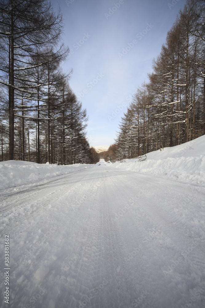車山高原の雪道 車山高原の雪道