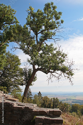 Kleiner Gleichberg in Thüringen