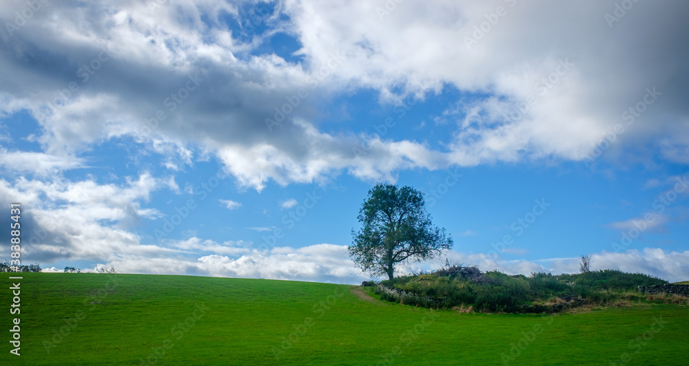 Panorama View across open farmland near Ings in the Lake Distict UK Panorama View across open farmland near Ings in the Lake Distict UK