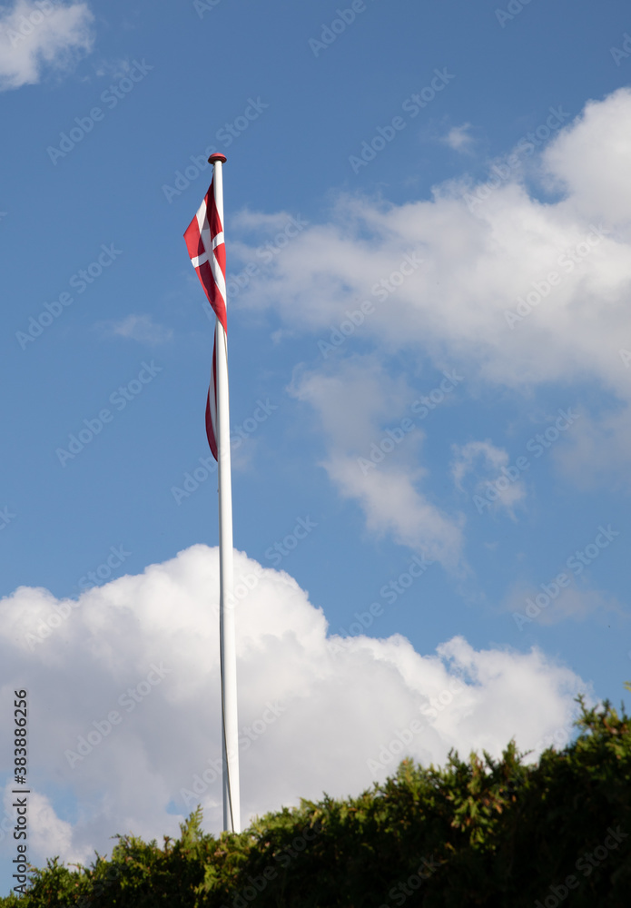 danish flag in the wind