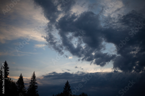 Evening landscape. Forest on the horizon. Clouds in the evening.