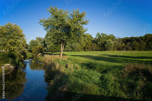 фотографія Farmland stream and pasture having undergone streambank restoration and stabilization on a warm sunny autumn day