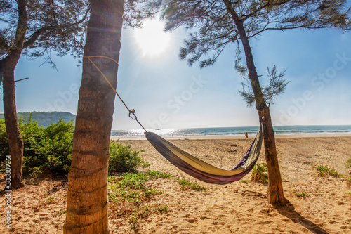 Amazing view on beach and hammock in South India