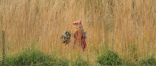 little girl in the tall autumn grass
